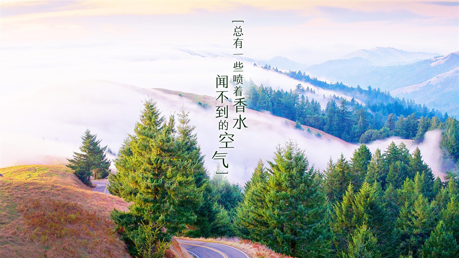 爱游戏app-_海上帆船挑战赛：掌舵者的速度与智慧_，海上帆船的世界名画