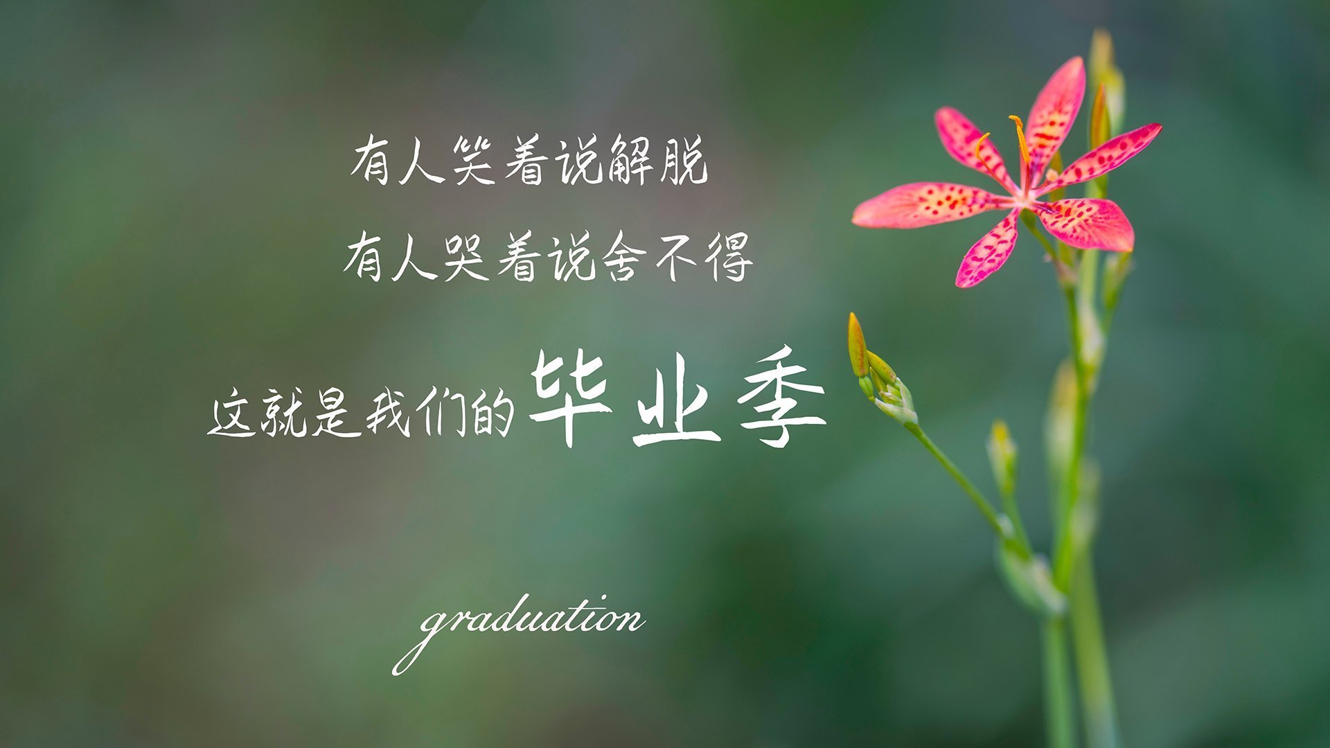 “极速漂移：弯道飞扬的极限表现”，极速漂移修车