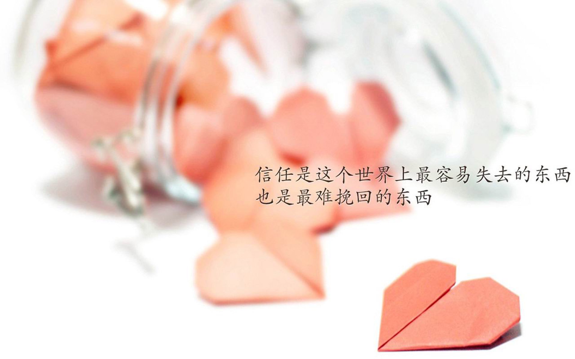 悬念丛生网球年终排名最后冲刺，网球 challenge