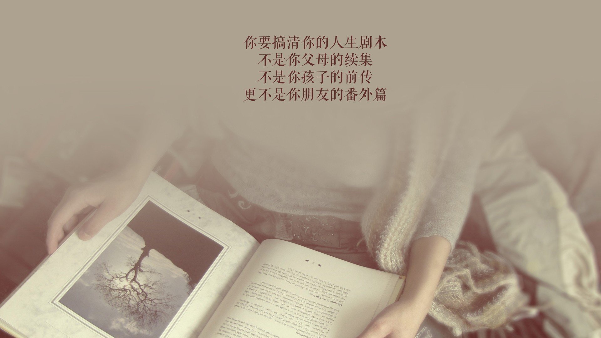 赛季交锋：超级对决中的历史性时刻，超级对战吧