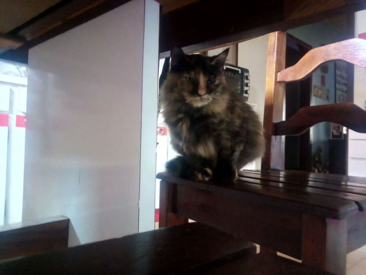 亚洲杯中国队逆袭 球员拼搏精神引关注,亚洲杯中国球员名单