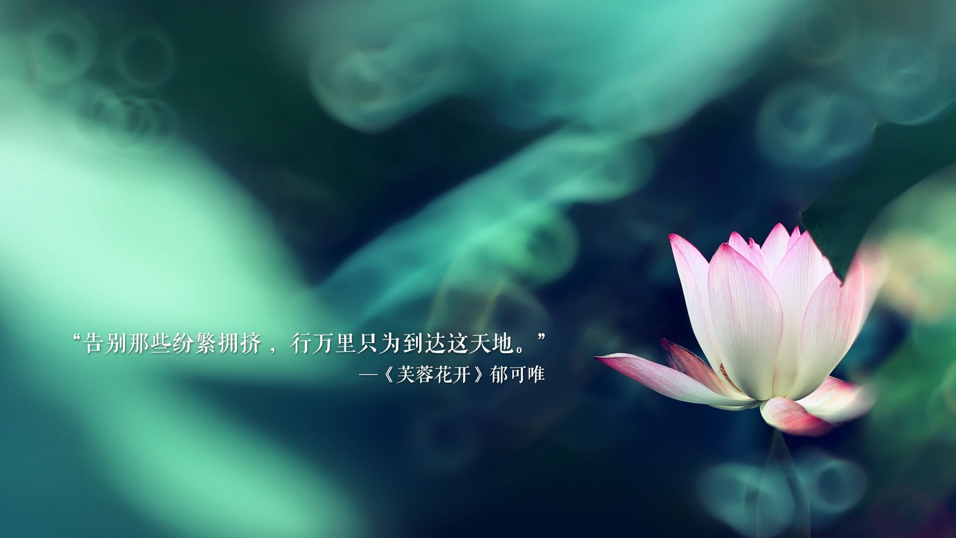 奥预赛中国女足战胜 球员状态回暖明显，中国女足奥运会预选赛比分