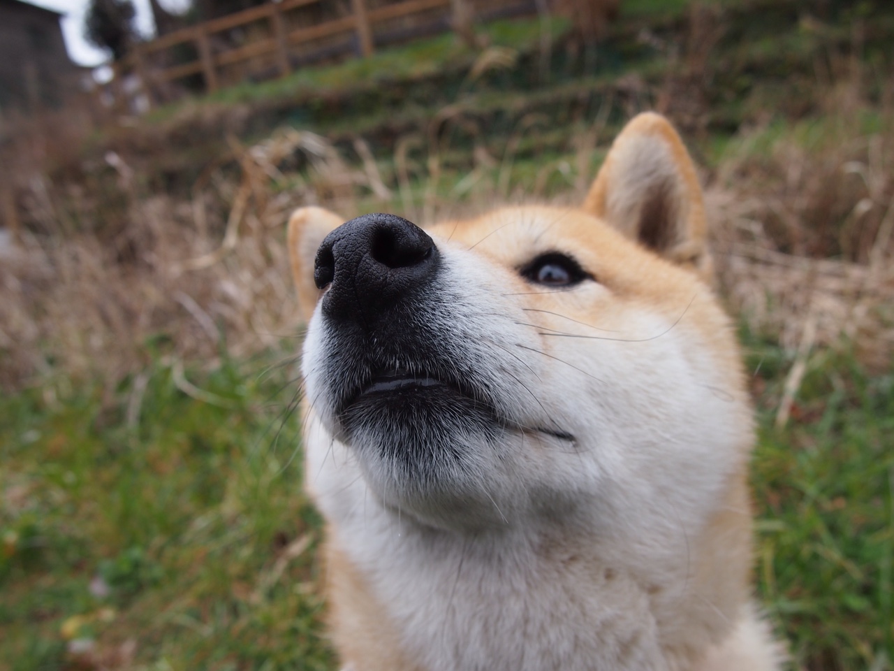 巴黎圣日耳曼创队史最佳赛季战绩，连续18场不败登顶法甲，巴黎圣日耳曼队首发阵容