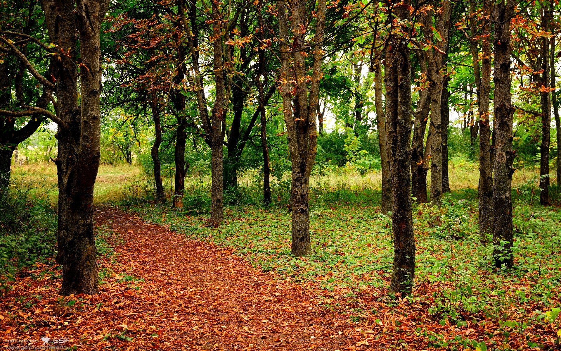 爱游戏综合娱乐-新闻中心发布高校体育科研项目立项名单，高校体育课题题目