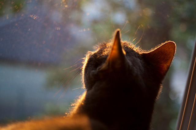 AYX官网-林丹助球队拿下关键战全运会羽毛球，2021林丹羽毛球大赛视频