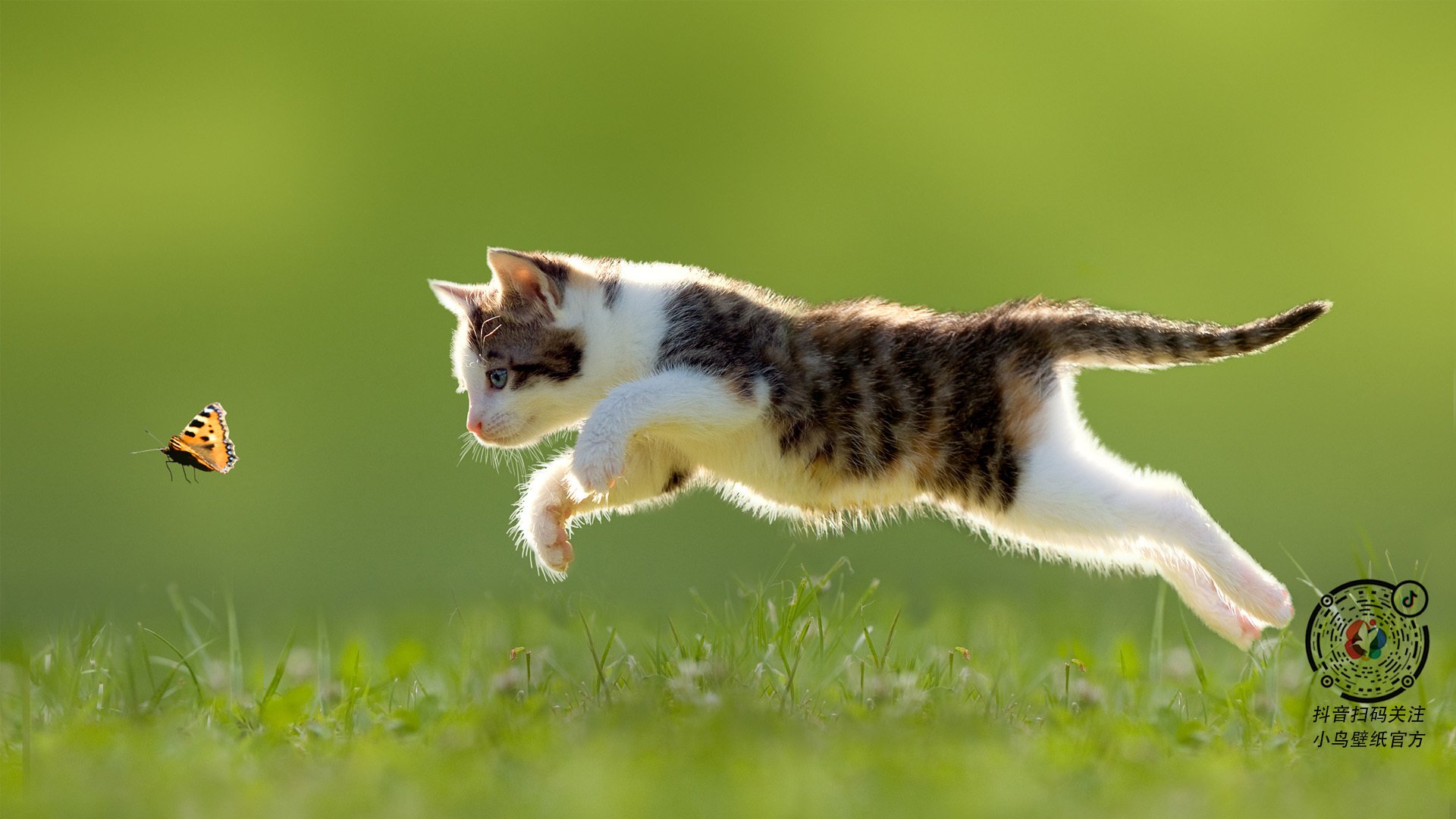 法甲青训崛起：未来巨星带领大局！，法甲水平如何