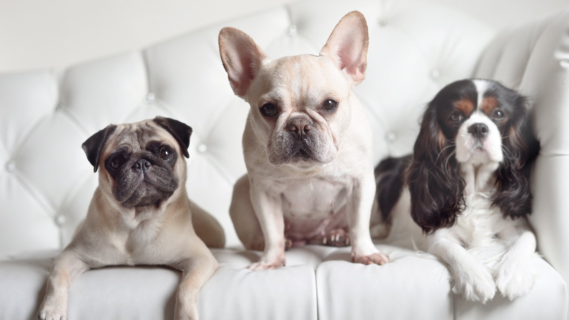 AYX体育官网-西甲激情四溢：奋勇突击，精彩不断！，西甲经典比赛