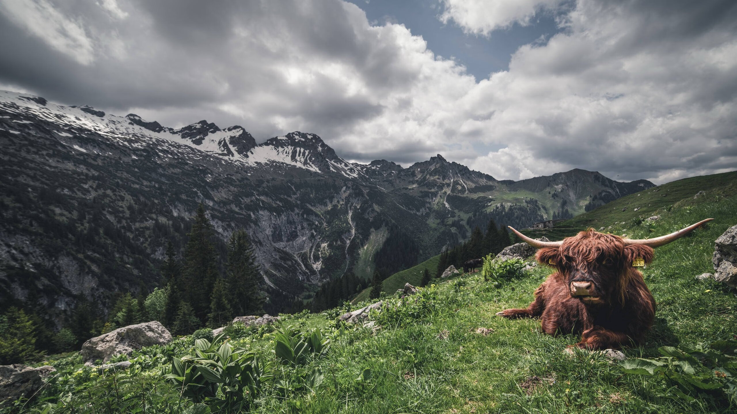 AYX SPORTS-青少年篮球推动比赛规则标准化提升公平竞争，青少年篮球比赛年龄限制