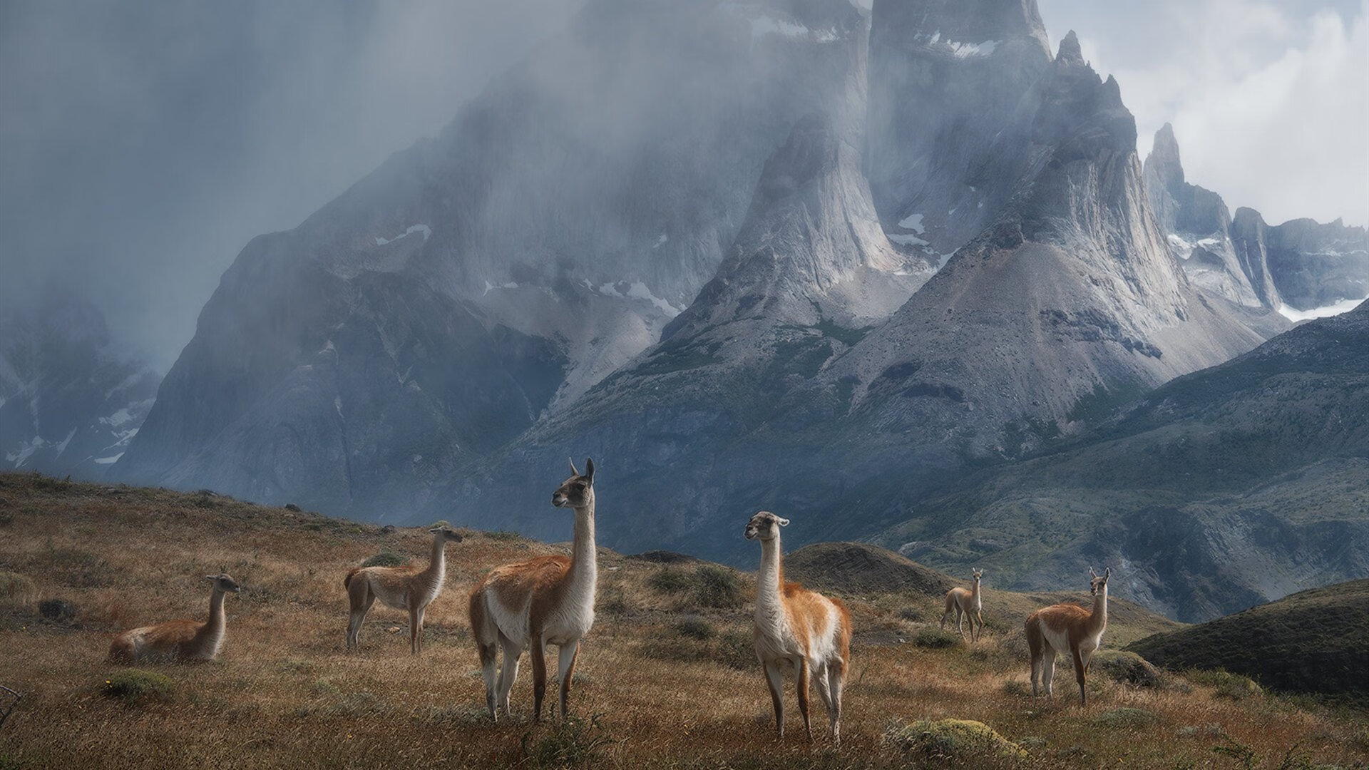 爱游戏 电竞-马拉松赛事视觉识别系统实现自动计时，马拉松视觉设计